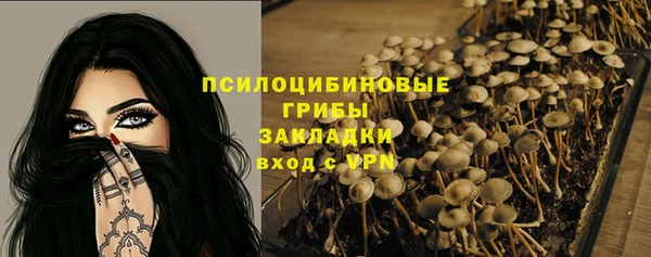 винт Наволоки
